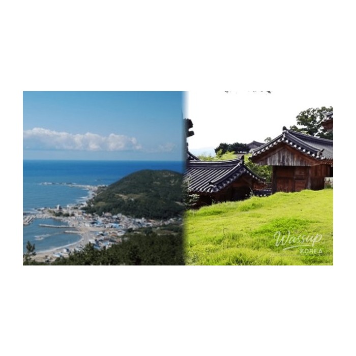 Best Spring Travel Destinations in Korea3516