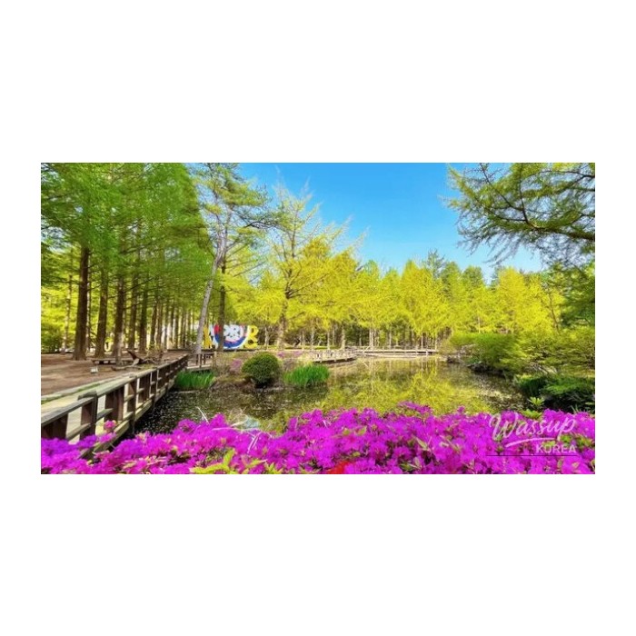 A Perfect Weekend Getaway: Exploring Daejeon, Wonju, Jeonju, and Sokcho3519