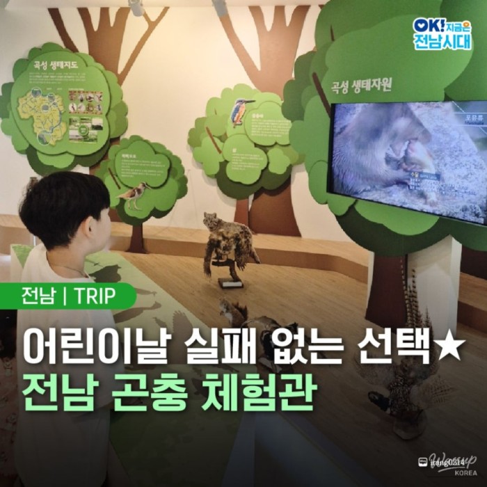 Creating Special Memories on Children's Day in Jeollanam-do3537
