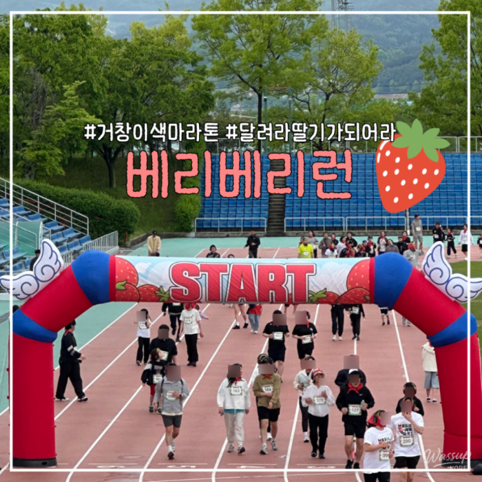 Berry Berry Run: A Unique Running Festival in Geochang3533