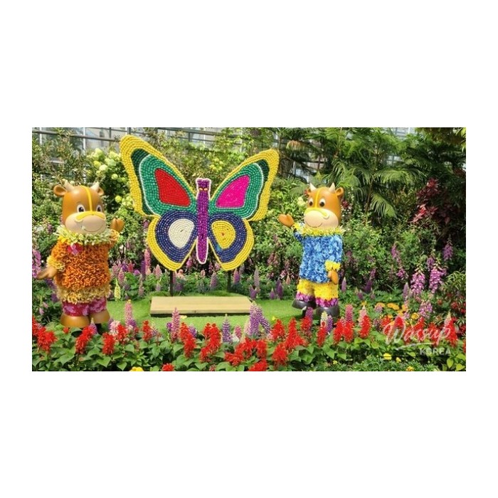 Explore the Enchanting Hampyeong Butterfly Festival3549