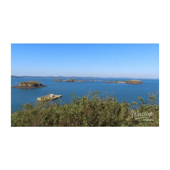 Discovering Jukdo: The Hidden Gem of Korea's Emerald Sea3556