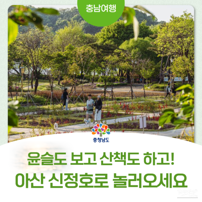Exploring the Beauty of Sinjeongho Provincial Garden in Asan3558