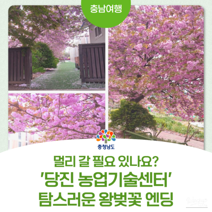 A Spring Visit to the Dangjin Agricultural Technology Center3560