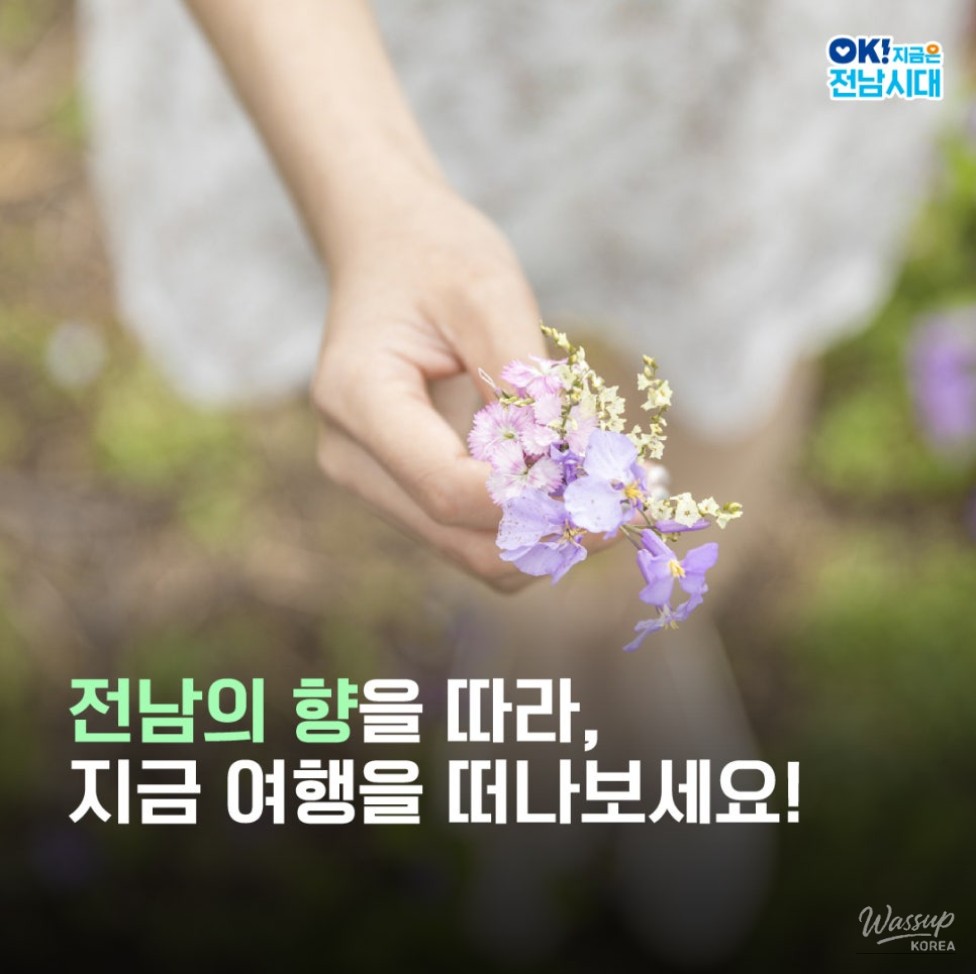 Exploring the Scents of Jeonnam_06