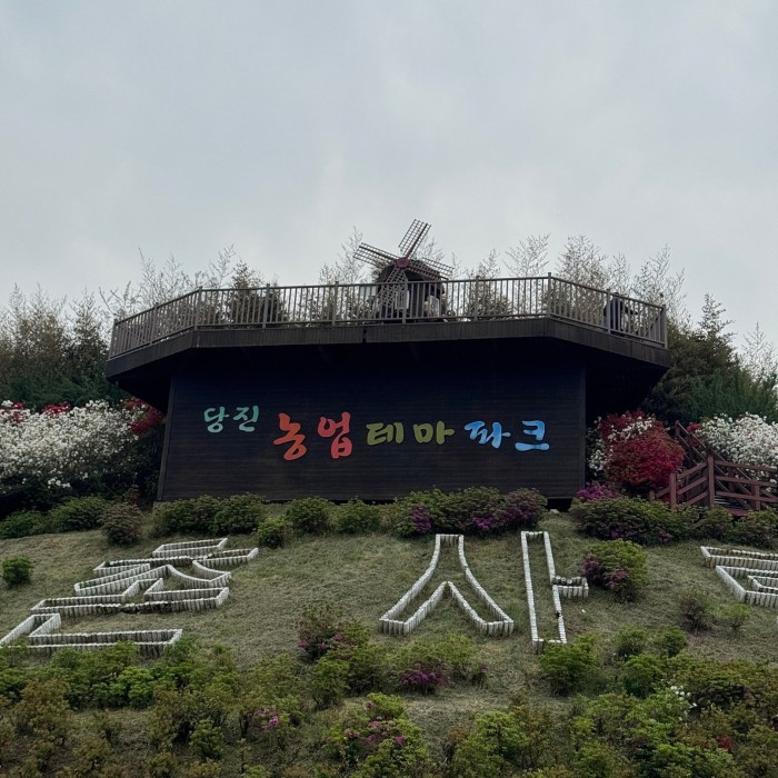 Discovering the Beauty of Spring at Nongshim Theme Park3582