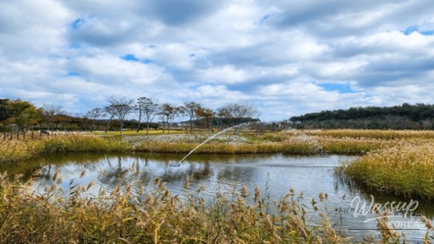 Spring Getaway: Exploring Buan's Hidden Gems_05