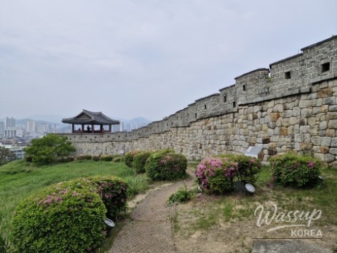 The Legacy of King Jeongjo and Suwon Hwaseong_04