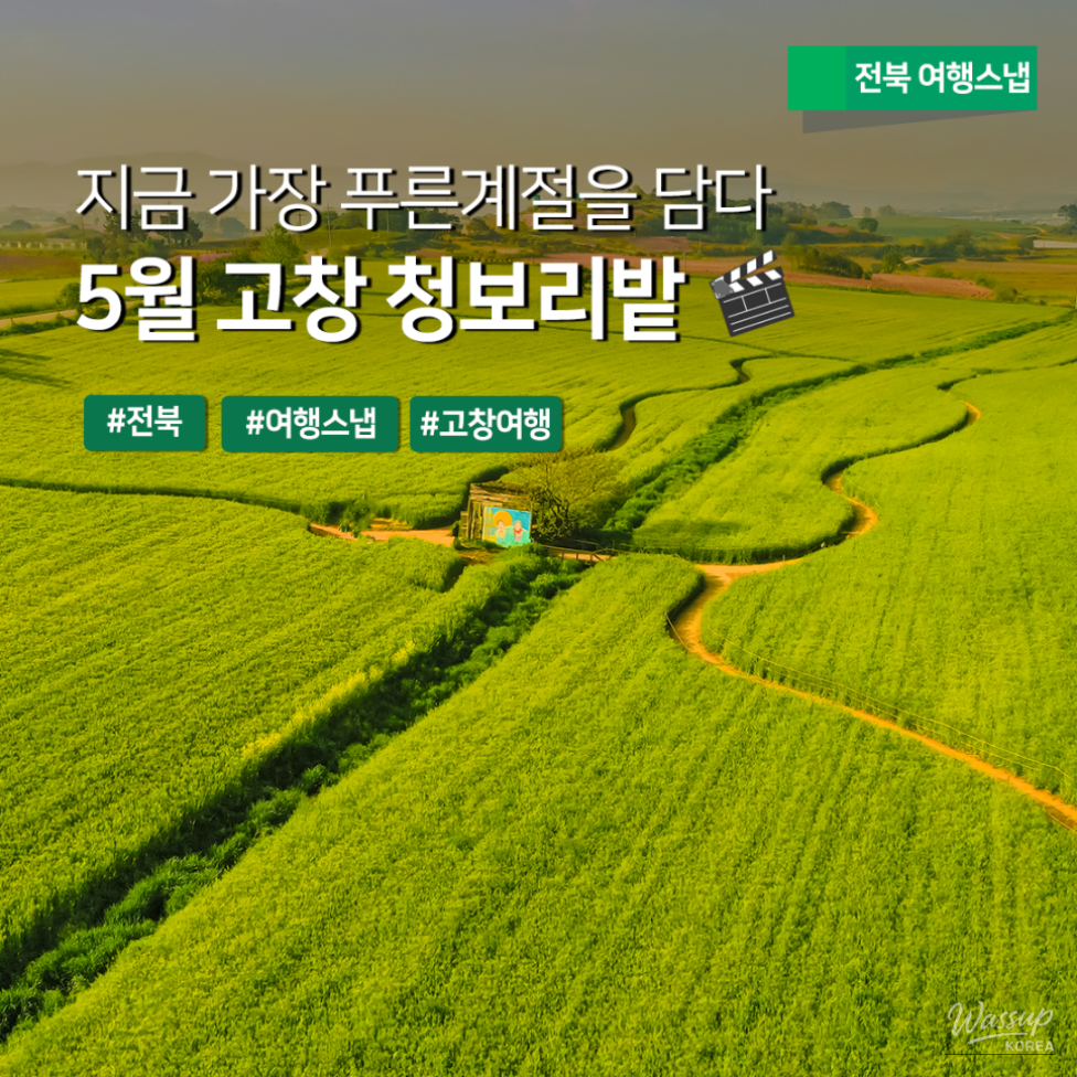 Exploring the Green Waves of Gochang's Barley Fields in May_01