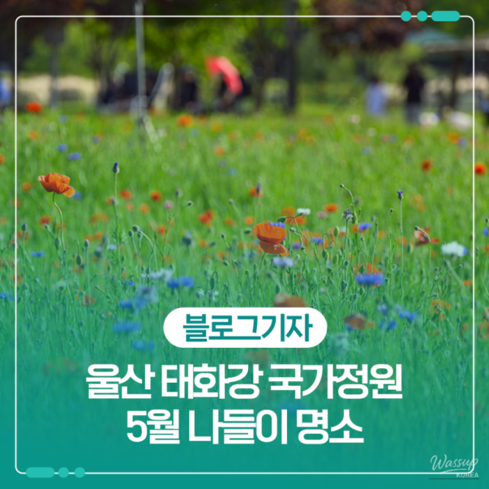 Exploring the Beauty of Taehwa River National Garden in May1750