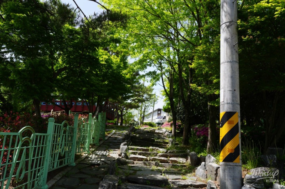 Exploring Hamann's Samji Park and Malijeong_15