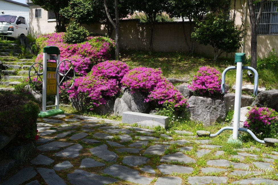 Exploring Hamann's Samji Park and Malijeong_17