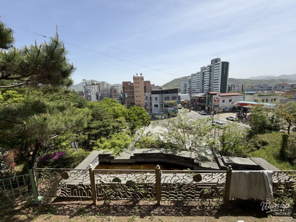 Exploring Hamann's Samji Park and Malijeong_20