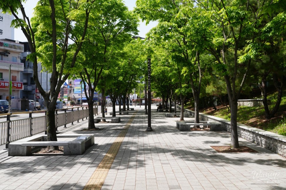 Exploring Hamann's Samji Park and Malijeong_11