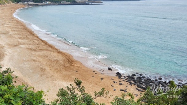 Exploring the Beauty of Jungmun Saekdal Beach in April_02