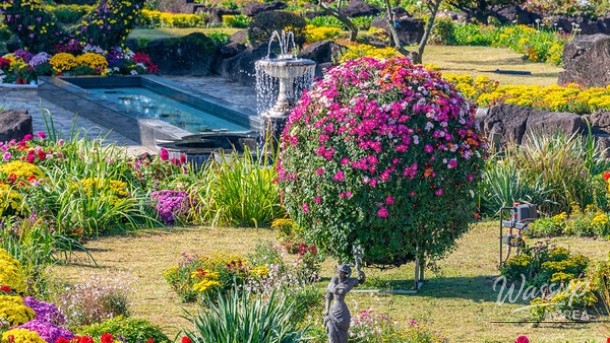 Discover the Unique Beauty of Byeokchoji Arboretum in Spring_02