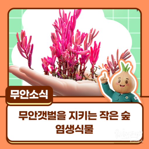 The Hidden Forest of Salt Marsh Plants at the Boundary of Land and Sea_01