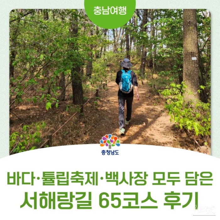 Exploring the Serene Seonghwanggil Course 65 in Taean3612