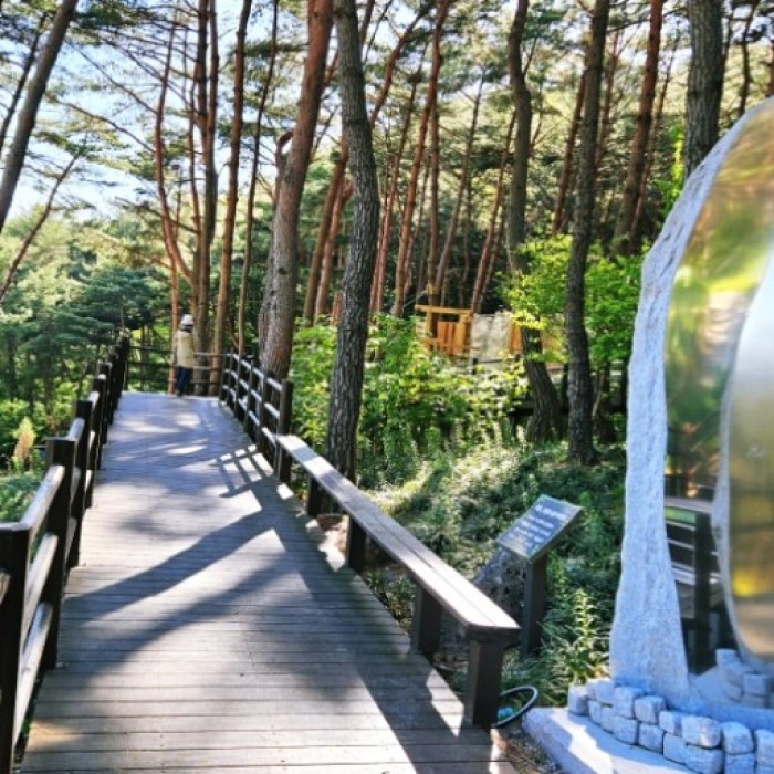 Healing Journey at the Anti-Aging Healing Land3613