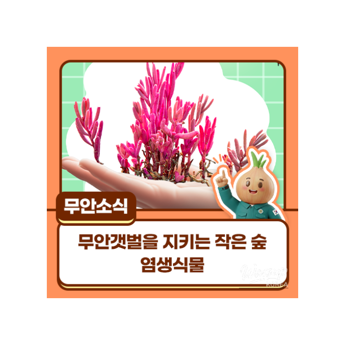 The Hidden Forest of Salt Marsh Plants at the Boundary of Land and Sea1198