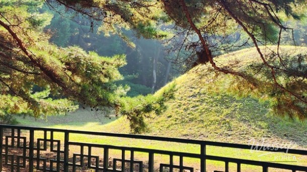 Healing Walk in the Pine Forest of Unmunsa Temple_03