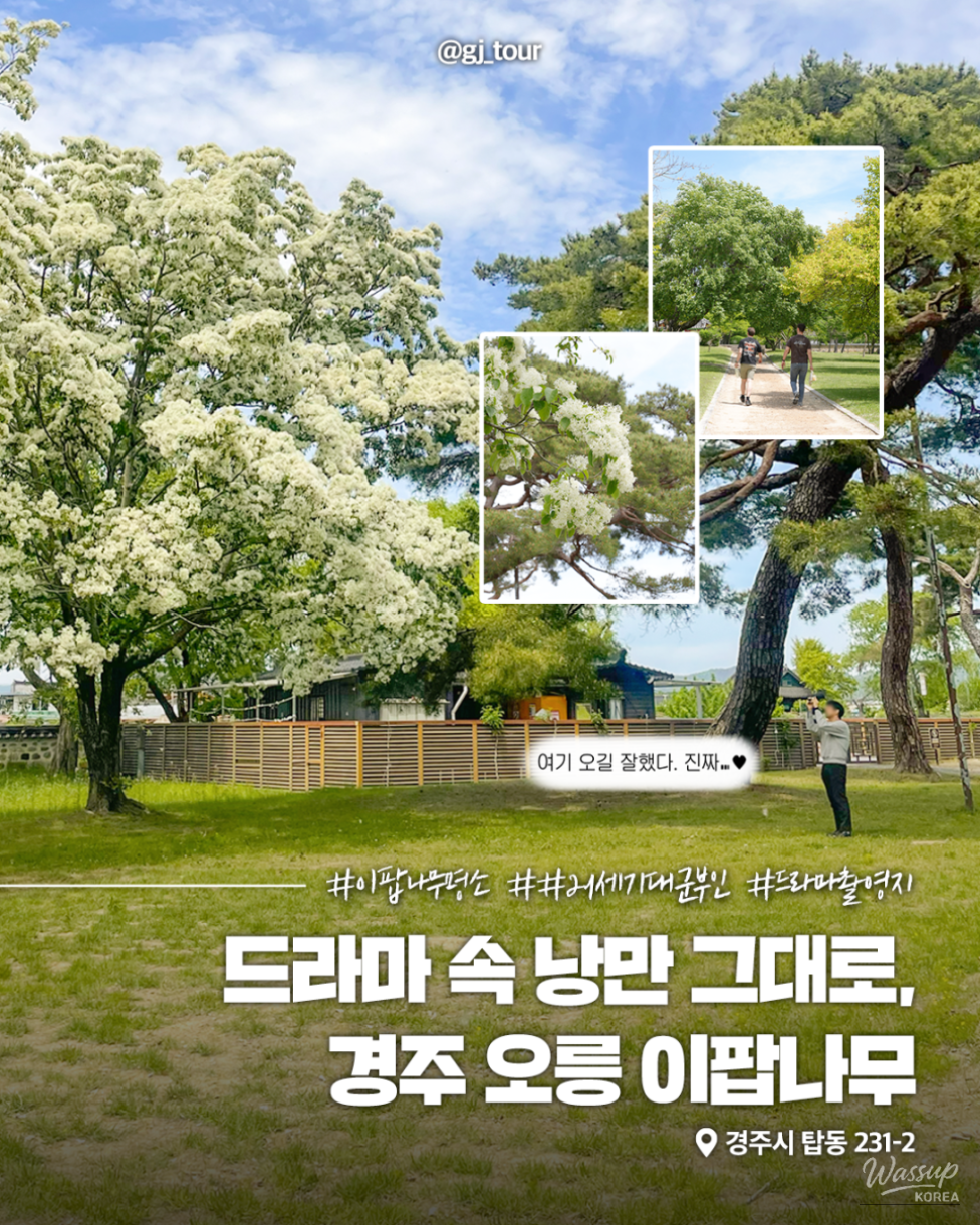 Explore the Beauty of Gyeongju's O-Rung_01