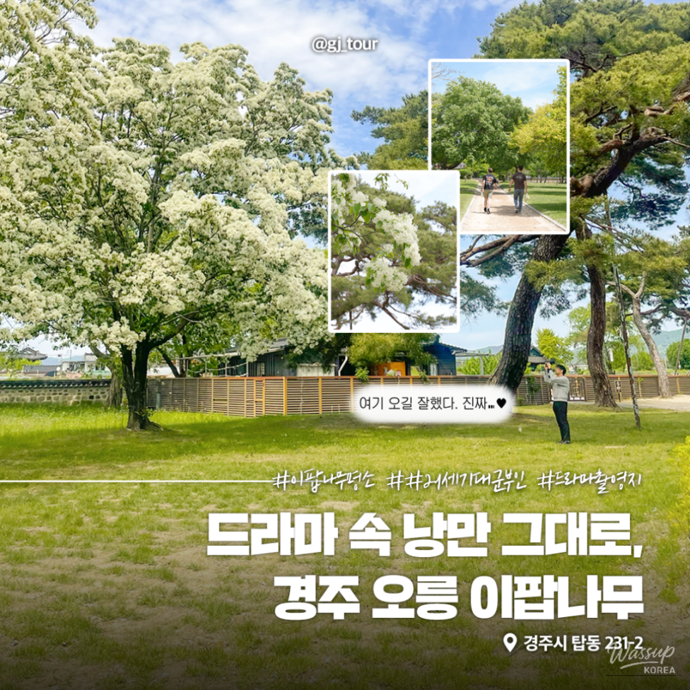 Explore the Beauty of Gyeongju's O-Rung_09