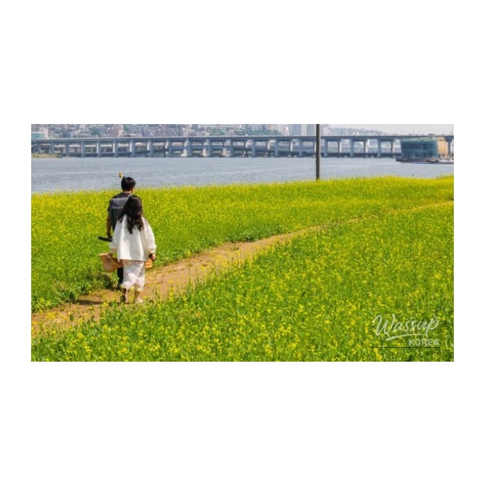 Discovering the Beauty of Seorae Island in Spring3640