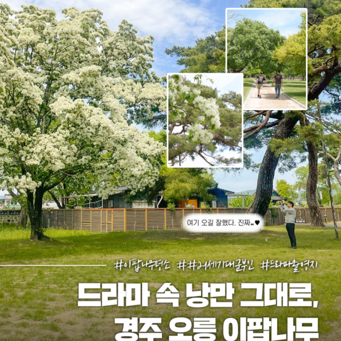 Explore the Beauty of Gyeongju's O-Rung3634