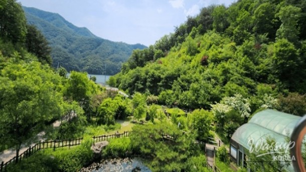 Winter Wonders in Hwacheon, Gangwon-do_05