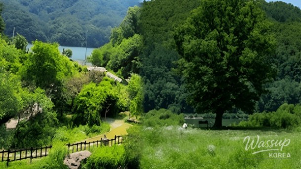 Winter Wonders in Hwacheon, Gangwon-do_01