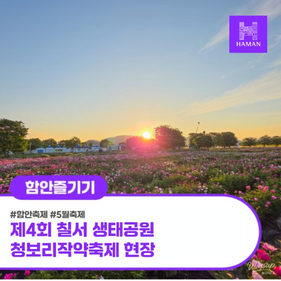Haman Green Barley and Peony Festival_01
