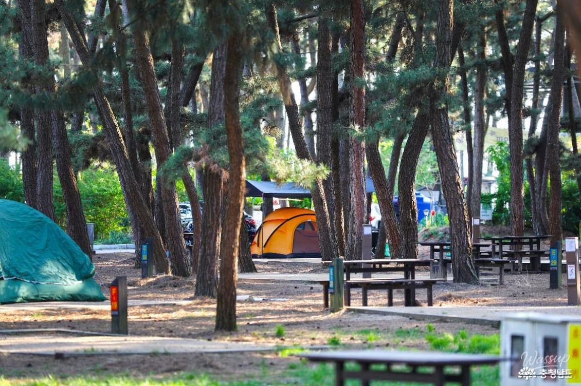 Camping at the National Park in Mongsanpo, Taean_07