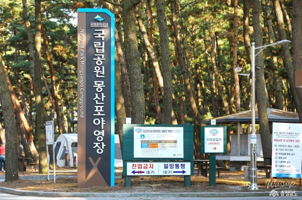 Camping at the National Park in Mongsanpo, Taean_04