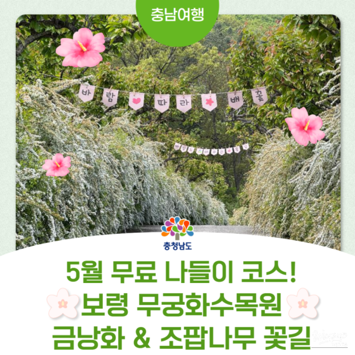 Discovering the Hidden Gem of Boryeong: Mugunghwa Arboretum3649