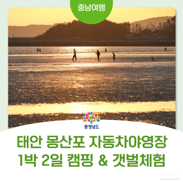 Camping at the National Park in Mongsanpo, Taean3655