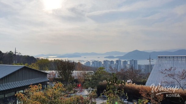 Exploring the Beauty of the Botanical Museum in Jinhae_02
