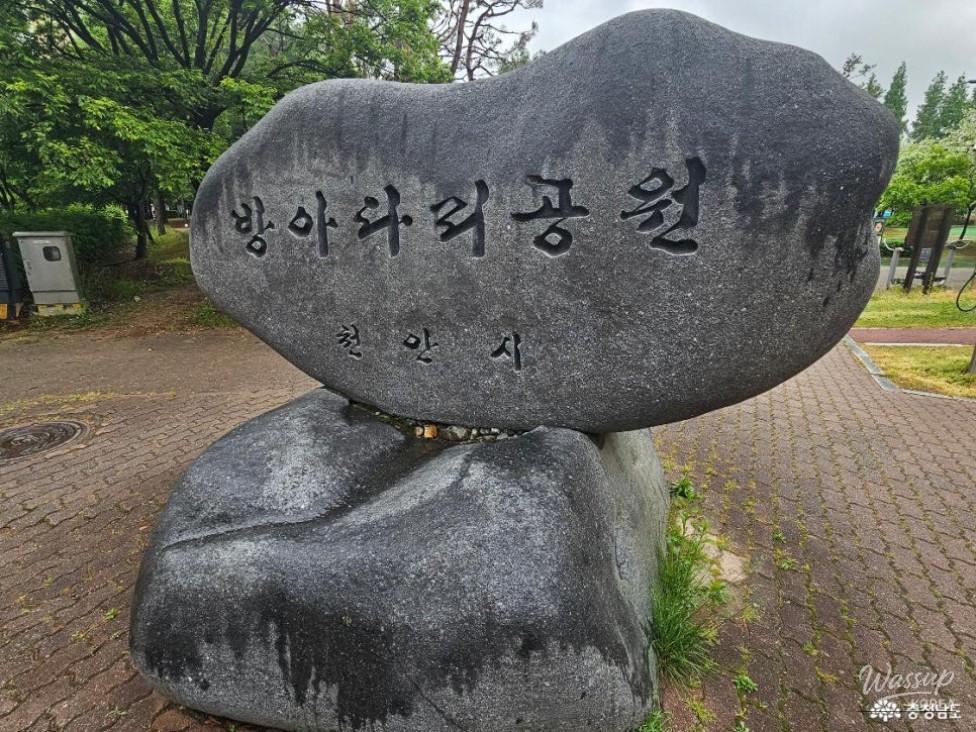 Exploring Bangadari Park in Cheonan_03
