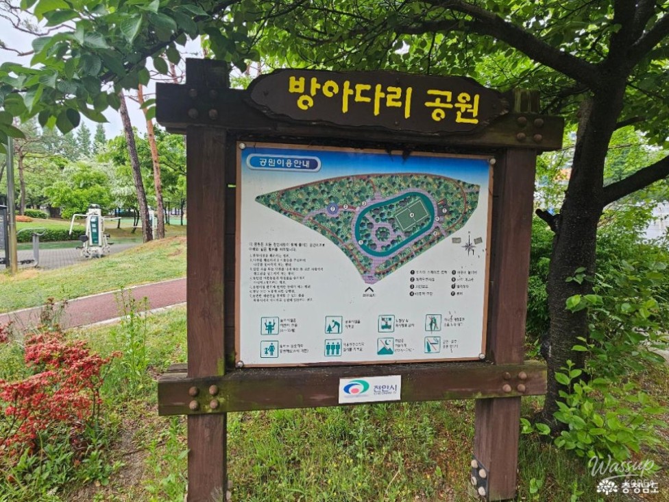 Exploring Bangadari Park in Cheonan_05