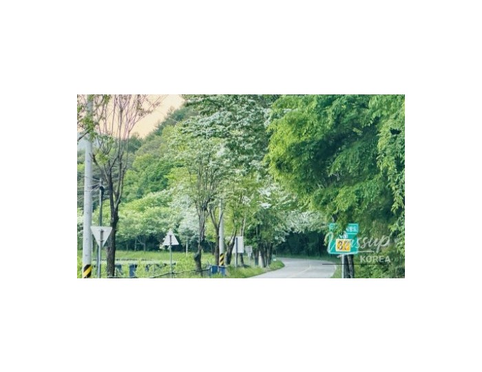 Exploring the Hidden Gem of Geochang: Seochul Dongryu Trekking Course float
