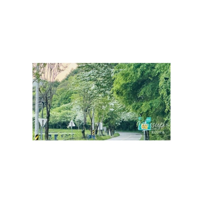 Exploring the Hidden Gem of Geochang: Seochul Dongryu Trekking Course3671