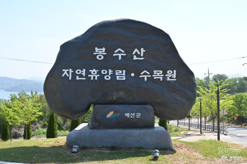 Exploring the Beauty of Yesan Bonsusan Arboretum_03