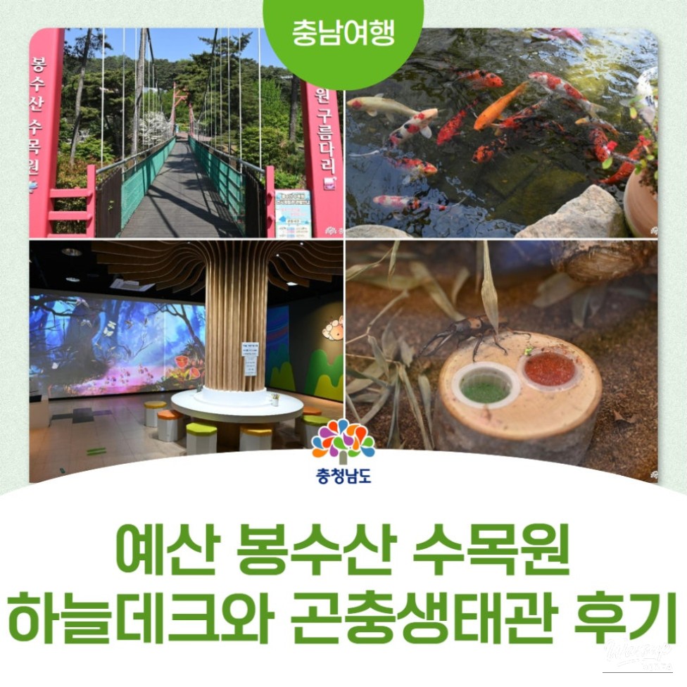 Exploring the Beauty of Yesan Bonsusan Arboretum_01