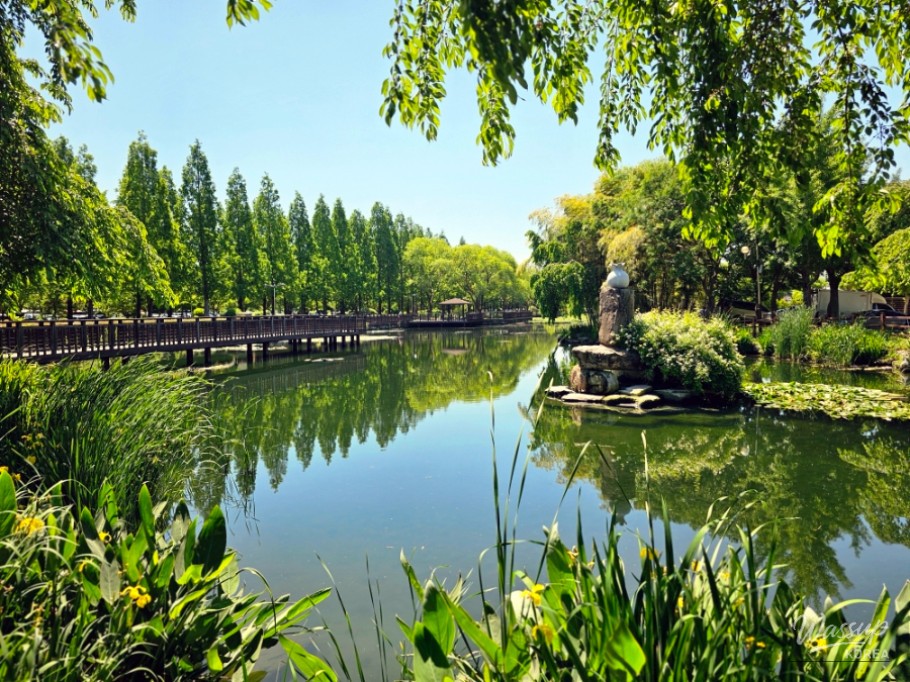 Exploring Jinju's Chojon Park in May_02