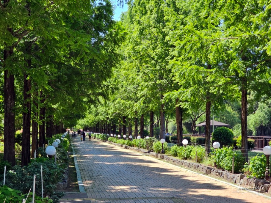 Exploring Jinju's Chojon Park in May_04