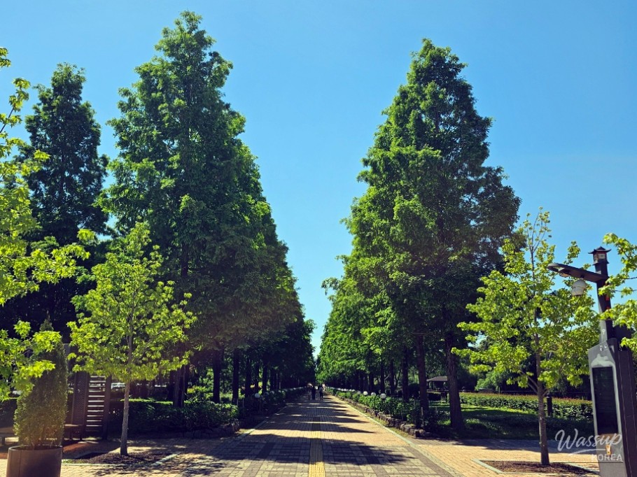 Exploring Jinju's Chojon Park in May_03