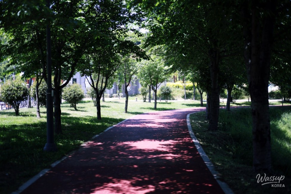 Family-Friendly Waterchowl Park in Jinju, Gyeongnam_05
