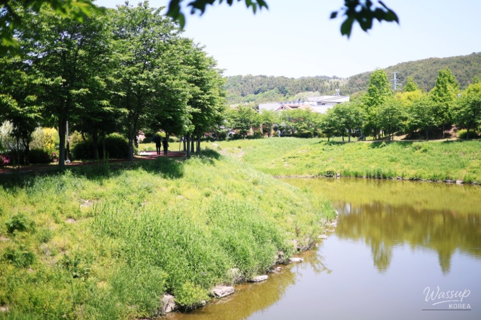 Family-Friendly Waterchowl Park in Jinju, Gyeongnam_02