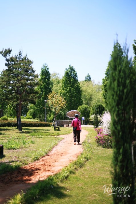Family-Friendly Waterchowl Park in Jinju, Gyeongnam_10