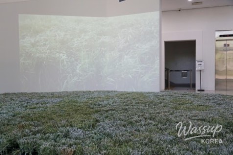The Vibrant Season of Green: Exploring the 'Waves of Landscape' Exhibition_05